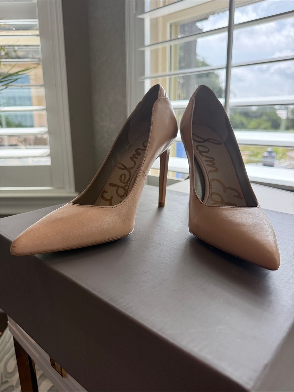 Sam Edelman Nude Pointed-Toe Stiletto Pumps